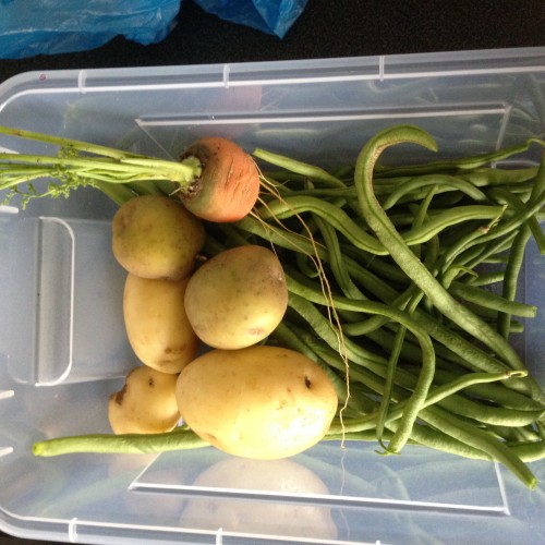 Carottes, pommes de terre, haricots verts