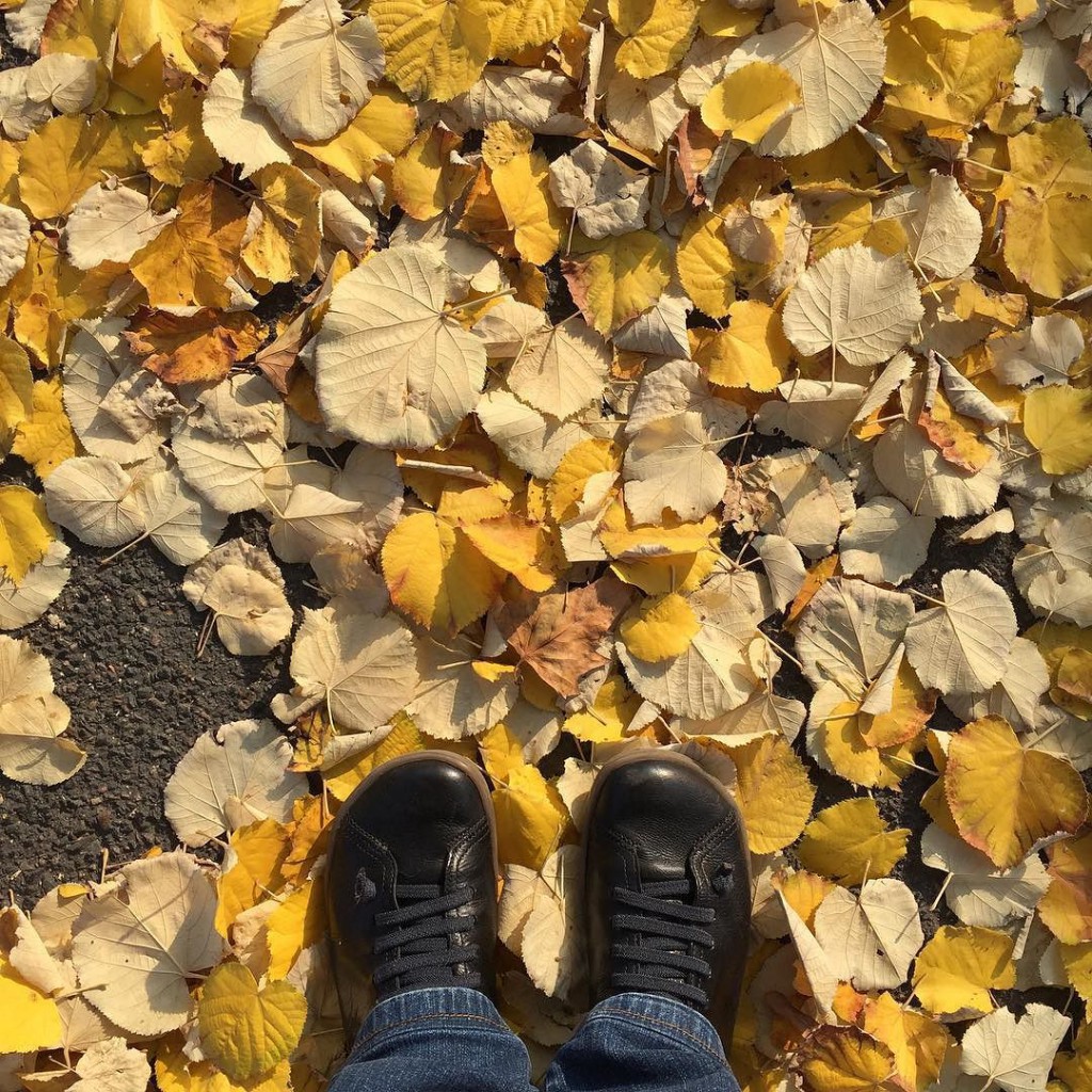 Mes chaussures en cuir entourées de feuilles mortes