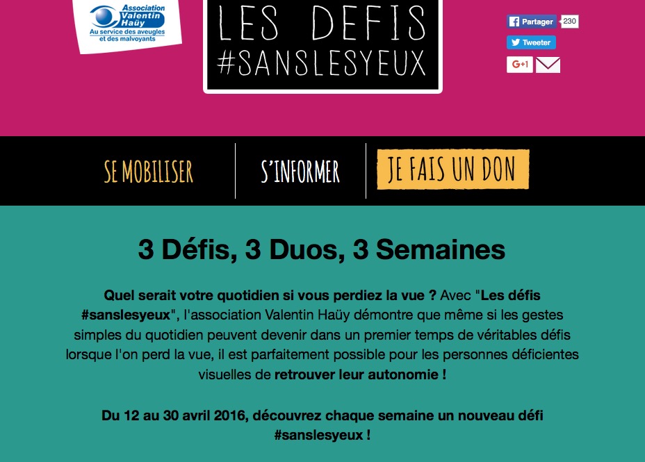 Capture d'écran du site internet de l'association Valentin Haüy