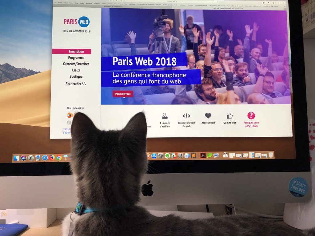 Page d'accueil de Paris-Web et Pixel, mon chat qui observe la page
