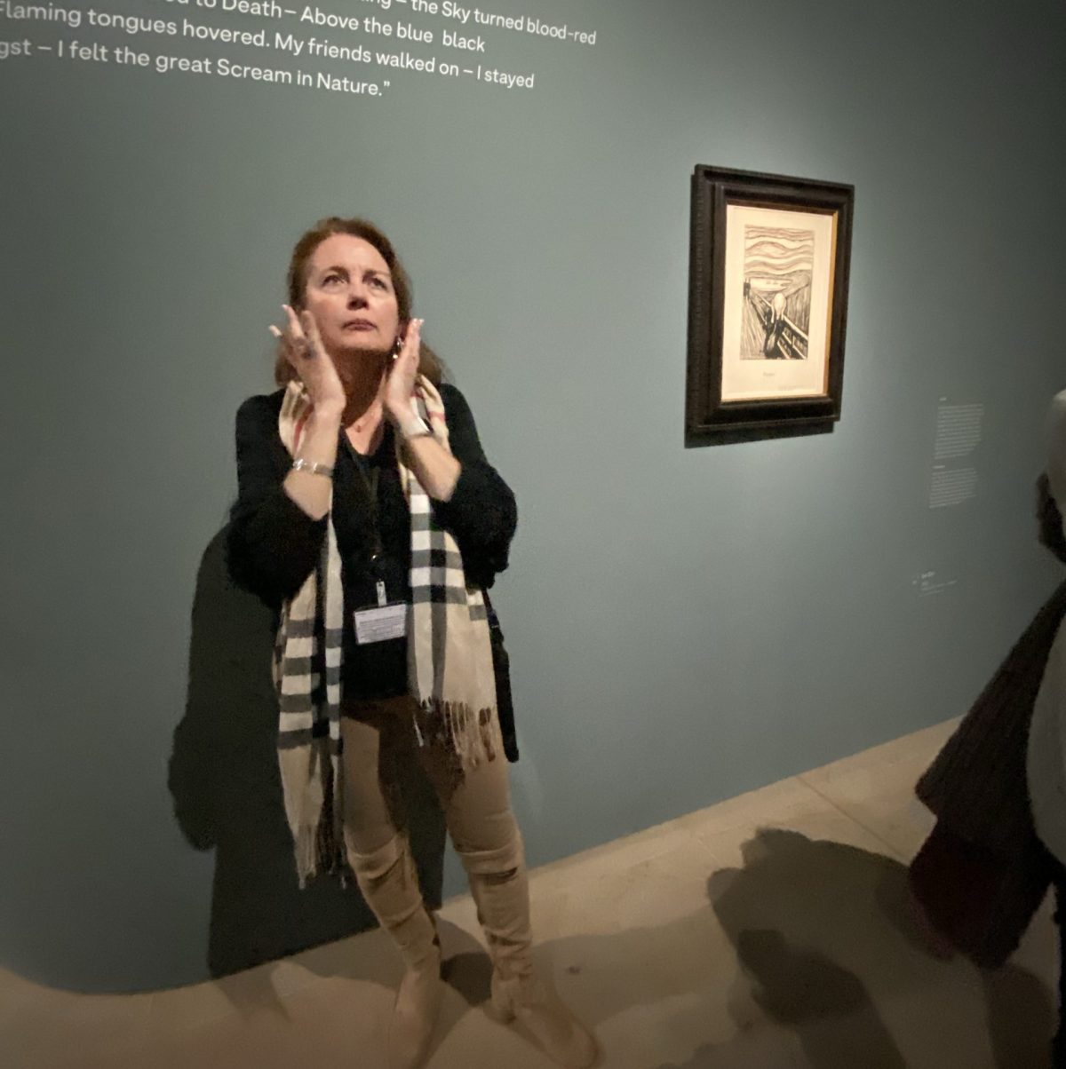 Laure Bailleul en train d'expliquer le tableau "Le cri" d'Edvard Munch". On la voit approcher ses mains sur son visage pour exprimer un cri d'effroi